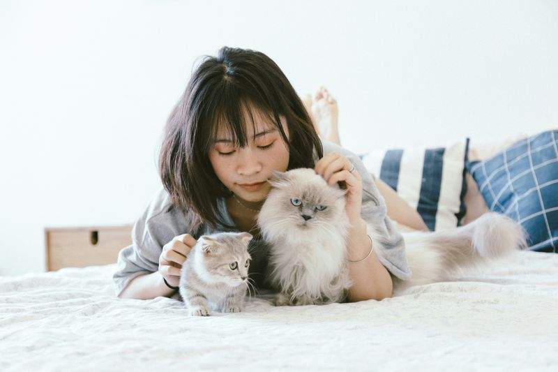 Top 5 Pet-Friendly Destinations for Your Next Vacation