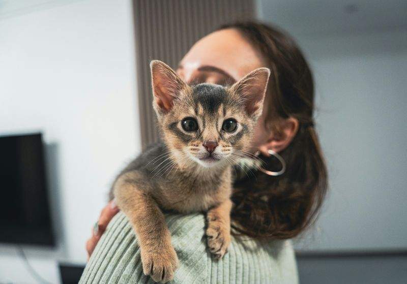 Paw Paradise Pet Care - Image 2