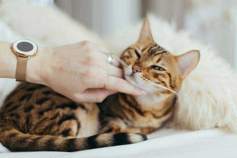 Grooming