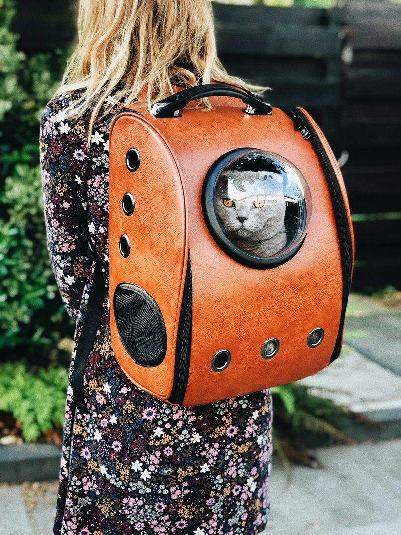 Pet Supplies